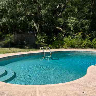 Pool and woods