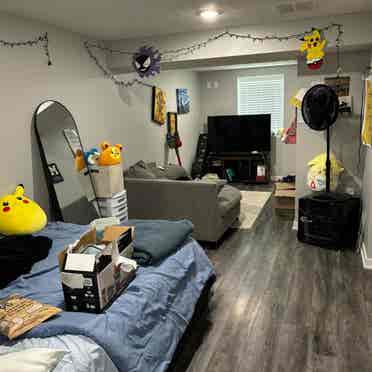 Basement bedroom in La Vista