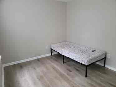 Room for rent - females only