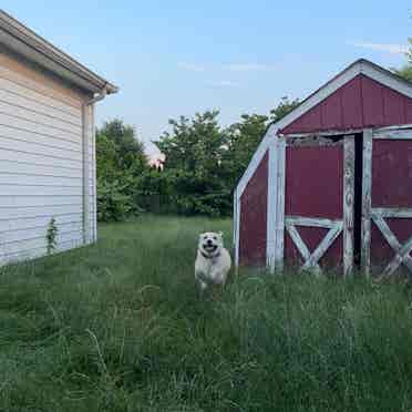 Plants, Animals, Community