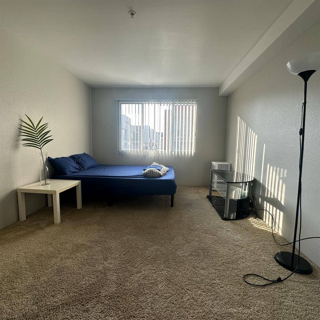 Private bed/bath in 2bed Apt (DTLB)