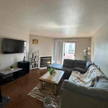 Private bed/bath in 2bed Apt (DTLB)