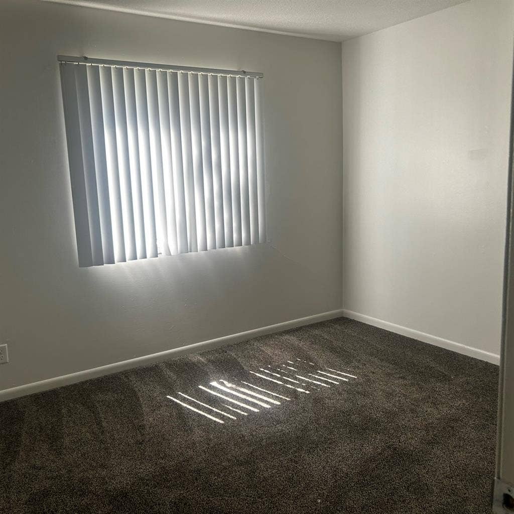 One room in a 2 bed room apartment