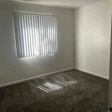 One room in a 2 bed room apartment