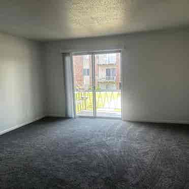 One room in a 2 bed room apartment