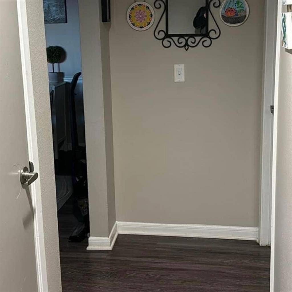 Looking for roommate end of August