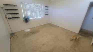 Share apartment in Fullerton!