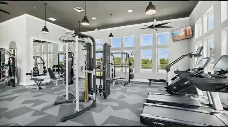 NICE APT/ROOM with PRIVATE BATHROOM