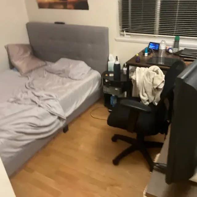 roommate in berkeley 2 bed apt