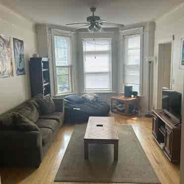 Lincoln Park/DePaul Apartment