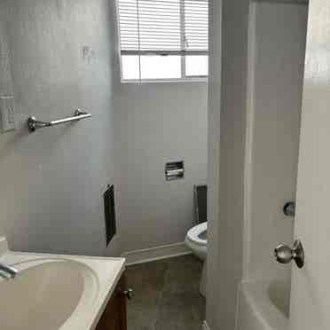 Girl room and needed in Westwood