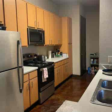 USF Apartment - Female only