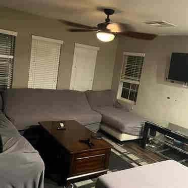 Looking for a Roommate!