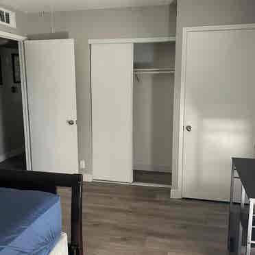 Looking for clean quiet roommate !