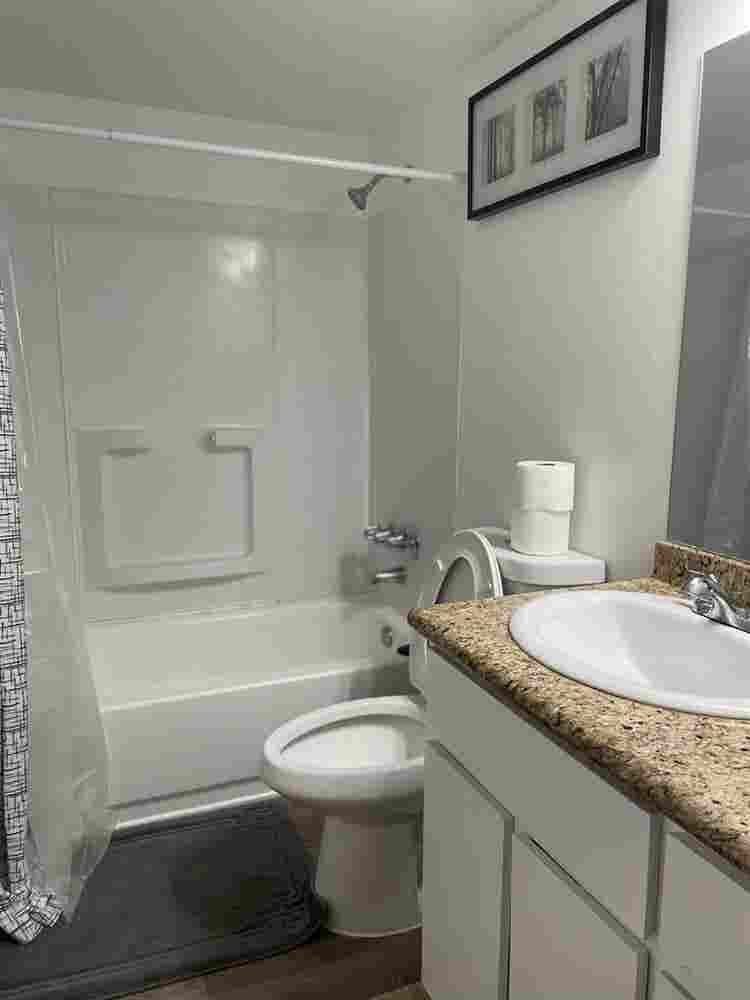 Looking for clean quiet roommate !
