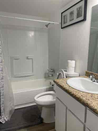 Looking for clean quiet roommate !
