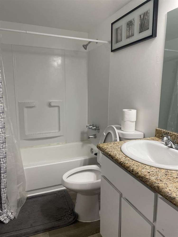 Looking for clean quiet roommate !