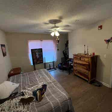 1 Bedroom w/ bathroom in apartment