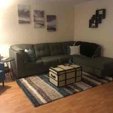 Looking for a roommate