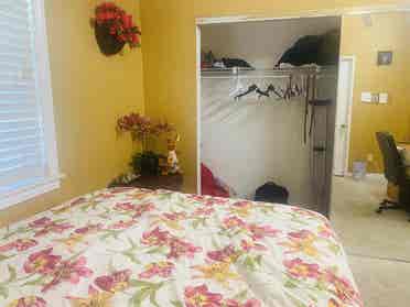 Spacious Fully Furnished Room