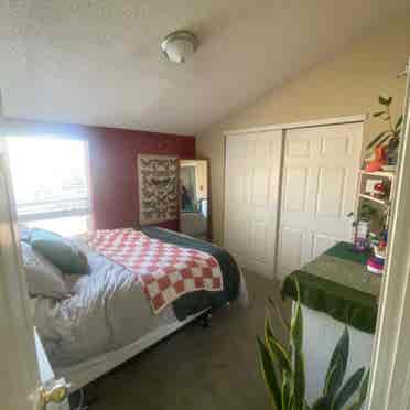 Room available near Horsetooth!