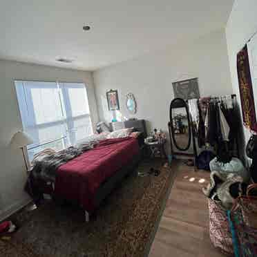 Looking to rent my room!