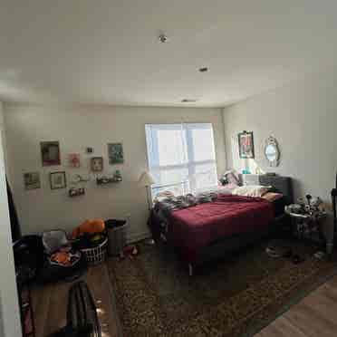 Looking to rent my room!