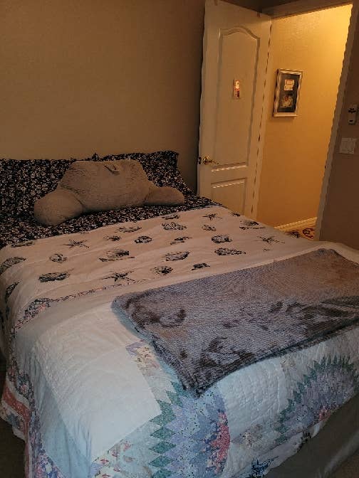 Furnished room w/bathroom available