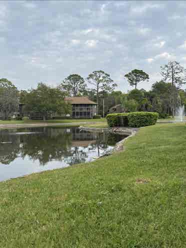 Great room in wooded condominium
