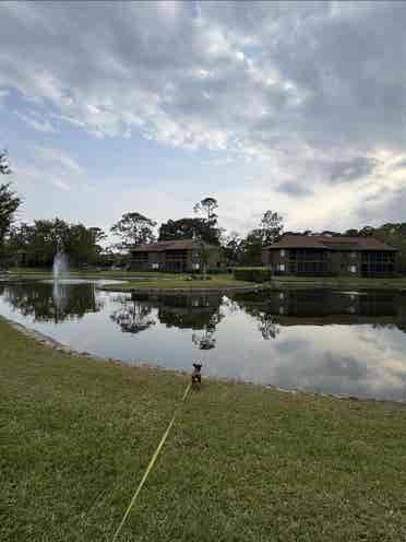 Great room in wooded condominium