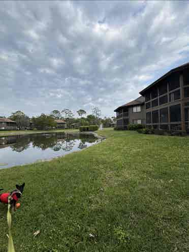 Great room in wooded condominium