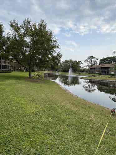 Great room in wooded condominium