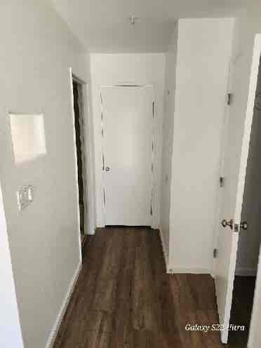 Looking for roommate