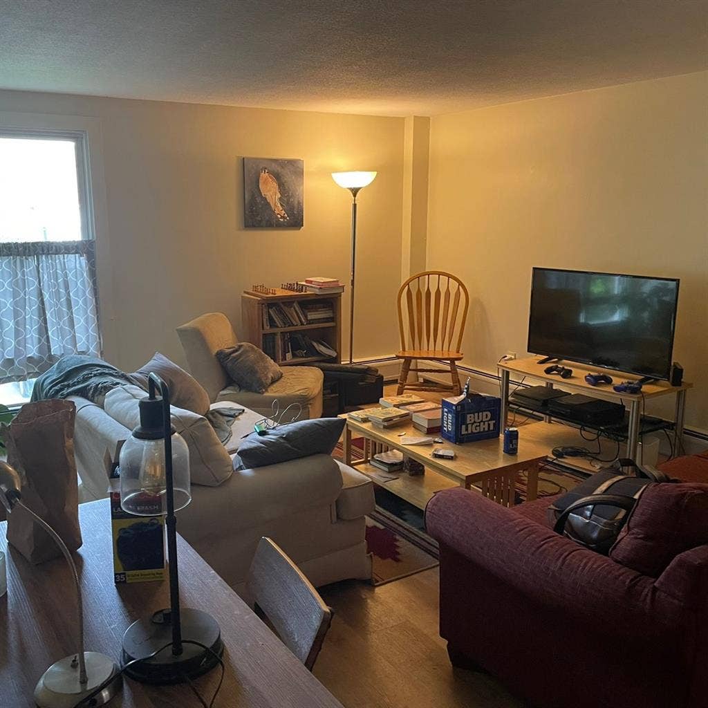 Looking for a roommate!