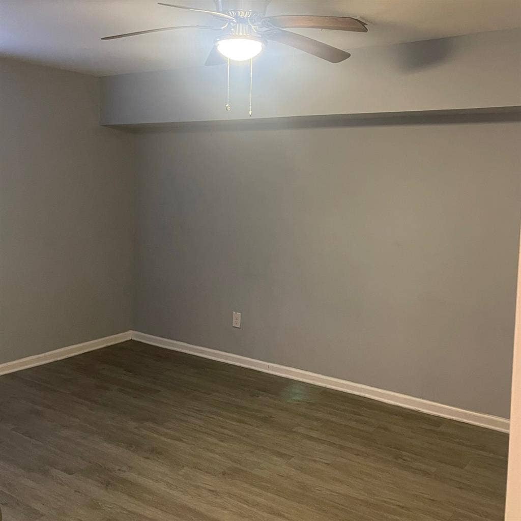 Entire downstairs basement for rent