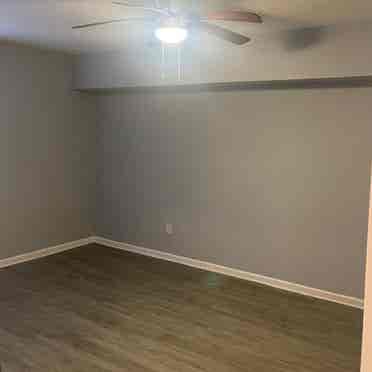 Entire downstairs basement for rent