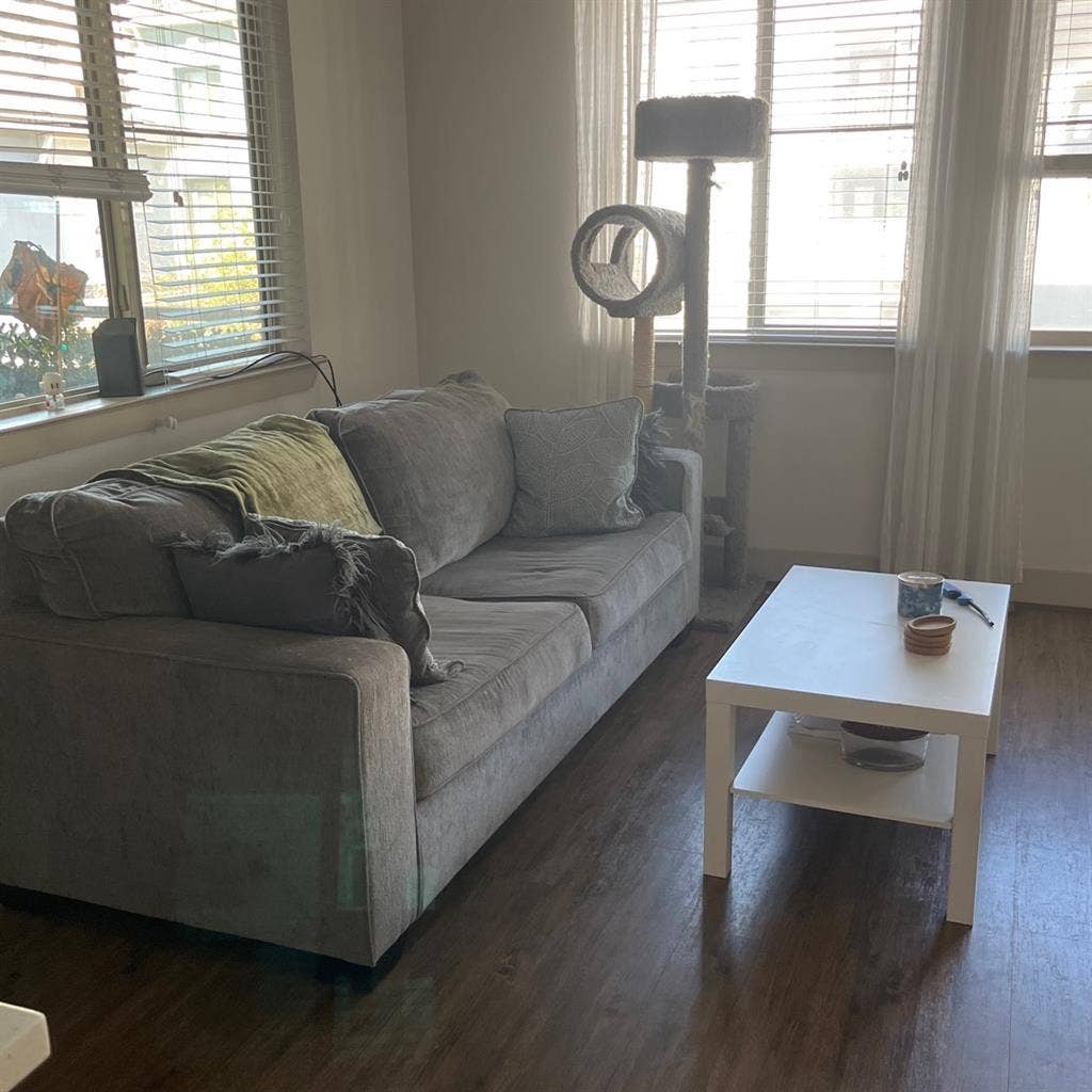 Looking for Roommate