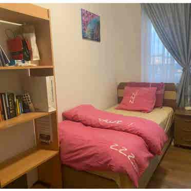 Beautiful furnished single room