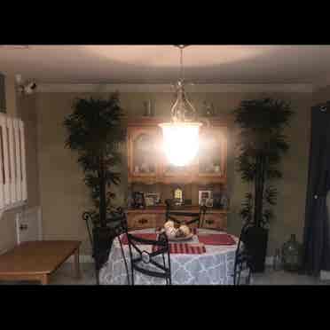 Room Available in East Orlando