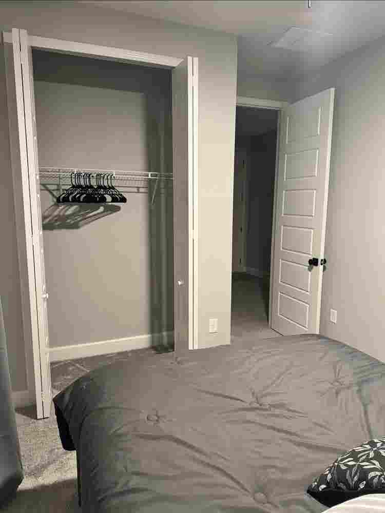 Looking for a roommate