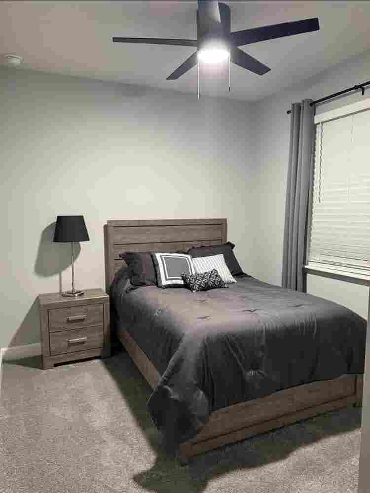 Looking for a roommate