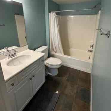 Furnished 1 bed room with bathroom