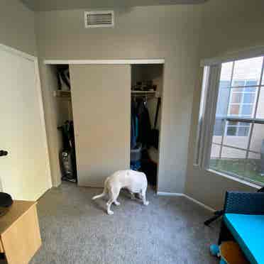 Tempe Room/ bath w garage parking