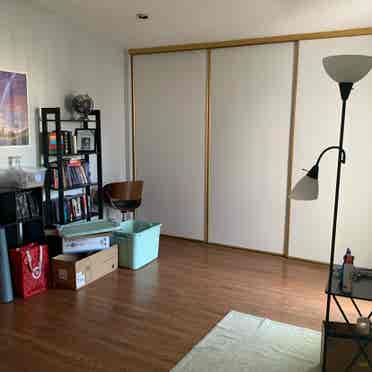 Roommate wanted in 4 Bedroom Condo!