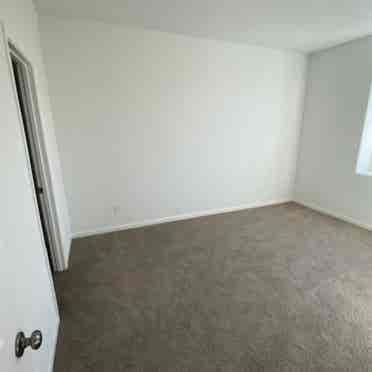 Need a roommate September 1!