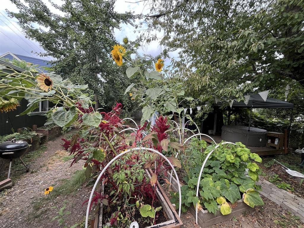 Room & Private Bath in NE Portland