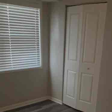 Room available by broad ripple