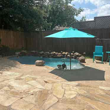 Guest Room Available in West Plano