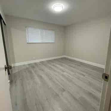 Room for rent nice apt near Niles