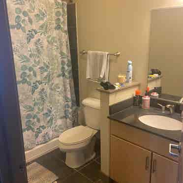 Axis Apartments Sublease